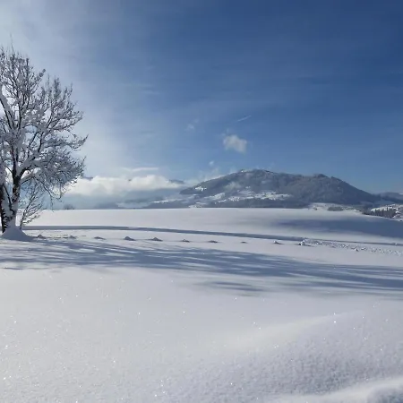 Bergrose * Hopfgarten im Brixental