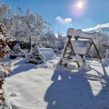 Bergrose Hopfgarten im Brixental