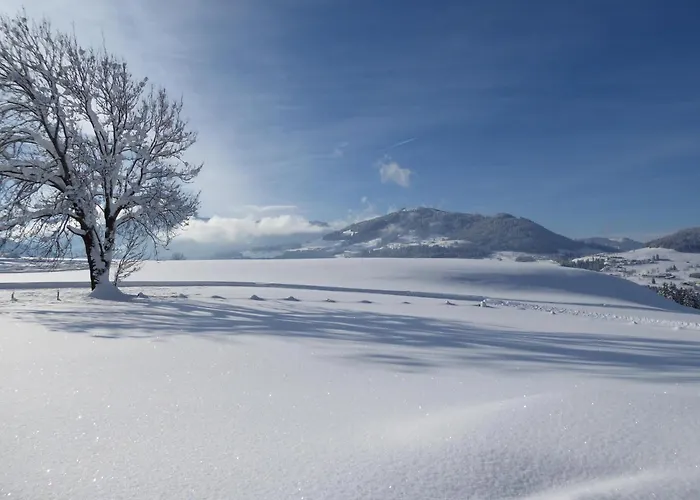 Bergrose * 호프가르텐 임 브릭젠탈