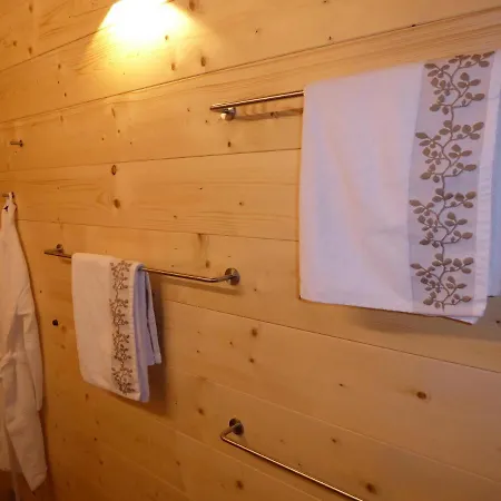 Bergrose 公寓 布里克森谷地霍普夫加尔滕