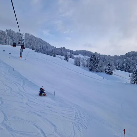 Bergrose 公寓 布里克森谷地霍普夫加尔滕