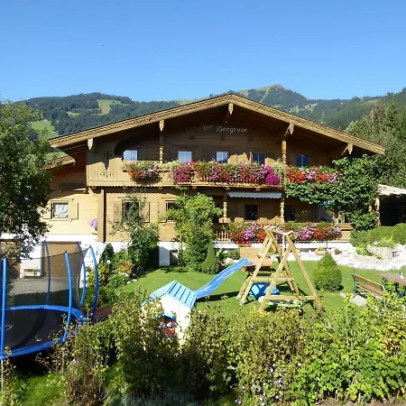 Bergrose * Hopfgarten im Brixental